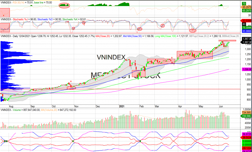 Thị trường chứng khoán ngày 16/06/2020: Đồ thị VN-Index. (Nguồn: MegaBot)