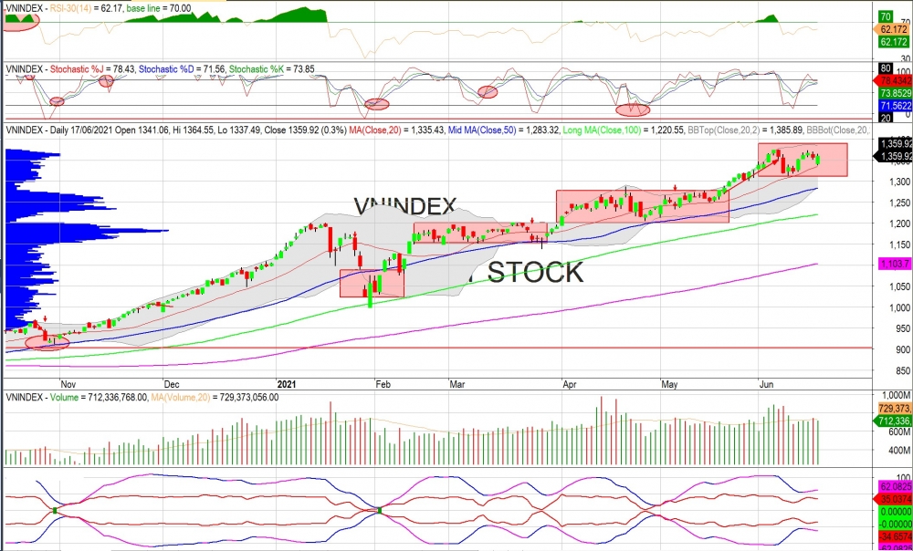 Thị trường chứng khoán ngày 18/6/2021: Đồ thị VN-Inde.x (Nguồn: MegaBot)