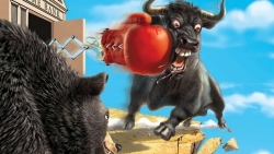 Thị trường chứng khoán ngày 23/6: Thị trường 'thiếu sắc', dòng tiền 'thiếu sức'