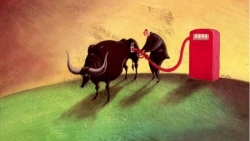 Nhận đinh thị trường chứng khoán ngày 5/7 - Thử nghiệm hệ thống mới, thị trường còn dư địa tăng trưởng