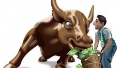 Thị trường chứng khoán ngày 7/7 - Như chưa hề có cuộc chia ly