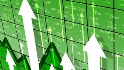 Thị trường chứng khoán ngày 30/7-Bùng nổ theo đà?