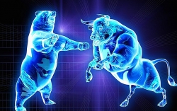 Thị trường chứng khoán ngày 10/8 - Thị trường tăng nhẹ