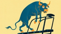 Thị trường chứng khoán ngày 11/8: VN-Index suy yếu