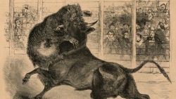 Nhận định thị trường chứng khoán ngày 17/8 - Tiếp đà tăng ngắn hạn