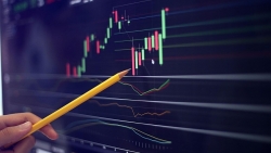 Thị trường chứng khoán ngày 24/8 – Bình yên trước cơn bão