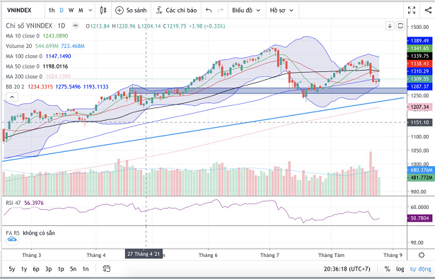 Đồ thị Vnindex. (Nguồn: Fireant.vn)