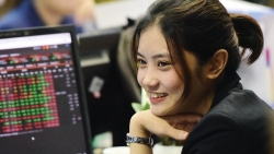 Thị trường chứng khoán ngày 30/8 - Ngân hàng khởi sắc, thị trường hồi phục