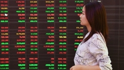 Thị trường chứng khoán ngày 8/9 - Kiểm tra hỗ trợ, thanh khoản sụt giảm