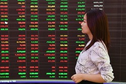 Thanh khoản thị trường chứng khoán ấn tượng, VN-Index vượt mốc mới, một mã tăng hết biên độ