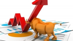 Thị trường chứng khoán ngày 11/12:  Lùi một bước, tiến hai bước!