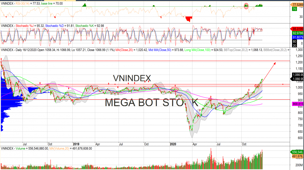 Thị trường chứng khoán ngày 17/12/2020. Đồ thị VN-Index .(Nguồn: MegaBot)