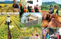 ty le ngheo cung cuc tai viet nam giam manh