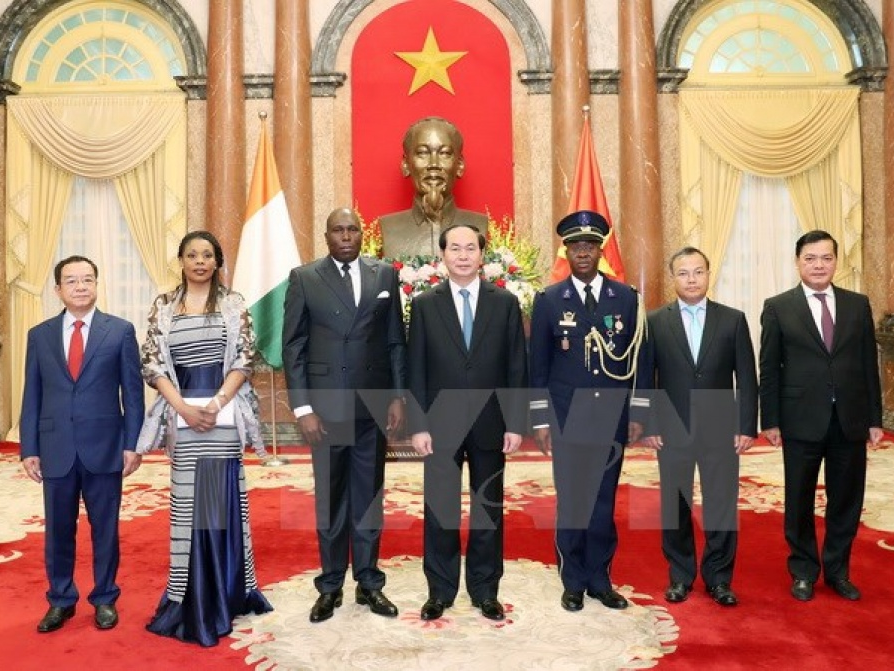 Chủ tịch nước Trần Đại Quang tiếp các Đại sứ trình Quốc thư đầu năm 2017