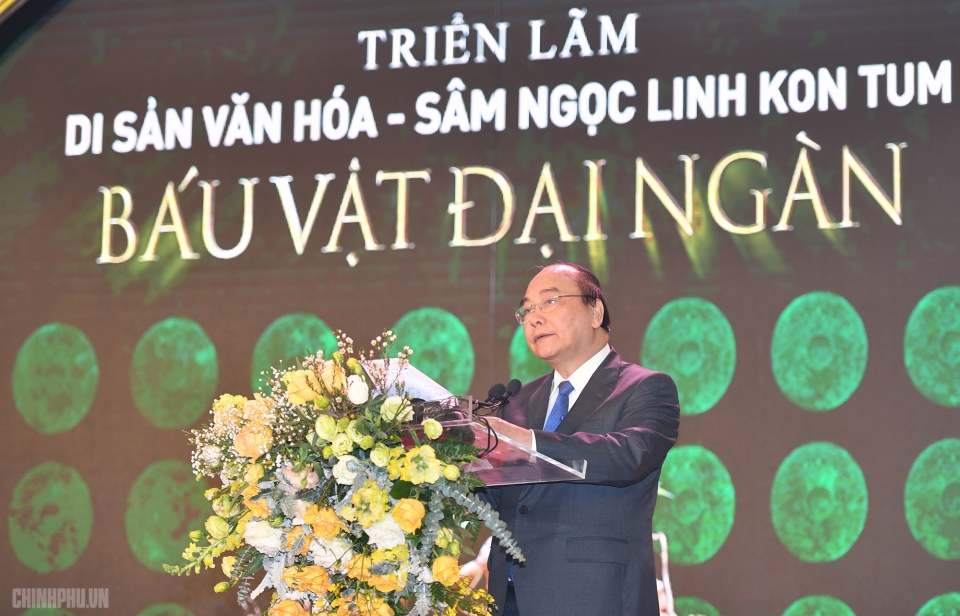 Sâm Ngọc Linh sẽ làm nên dấu ấn lịch sử mới tin nhap 20190120143130
