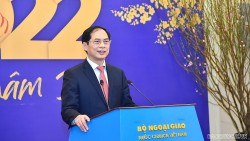 Bộ trưởng Ngoại giao Bùi Thanh Sơn chỉ rõ 4 trọng tâm của công tác đối ngoại năm 2022