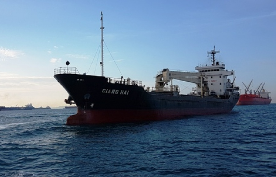 Việt Nam đang tiến hành các biện pháp cần thiết trong vụ tàu Giang Hải