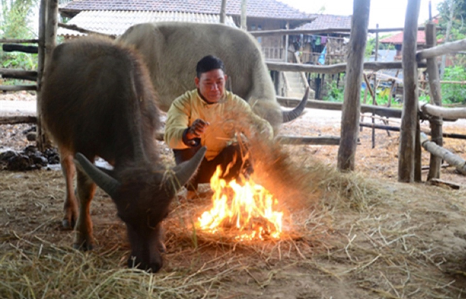 Các tỉnh Bắc Bộ vẫn chìm trong rét đậm, có nơi dưới 10 độ C