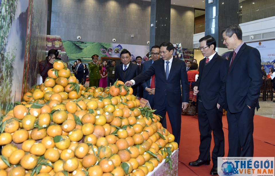 Hãy lên Hà Giang khai phá tiềm năng, nắm bắt cơ hội
