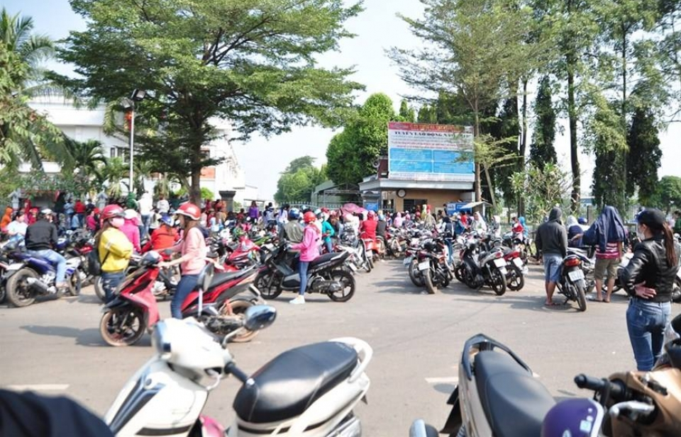 Thủ tướng chỉ đạo xử lý vụ DN nợ lương công nhân