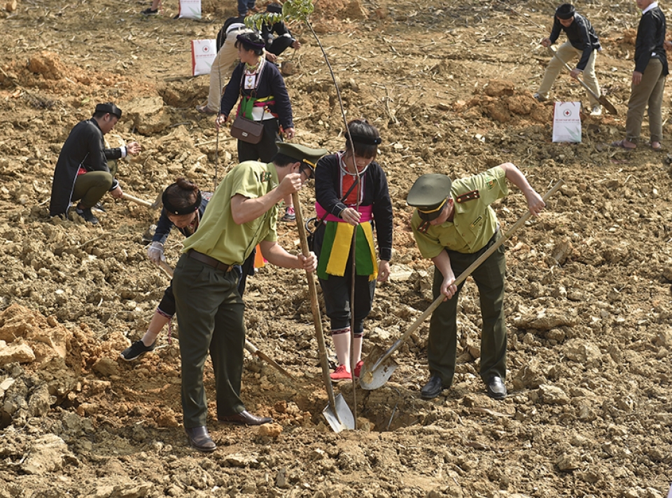 tin nhap 20190210151831