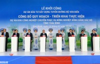 thu tuong mong moi gia dinh thu do trong mot cay tao net dep moi cua ha thanh