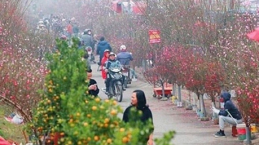 Dự báo thời tiết đêm nay và ngày mai 31/1: Miền Bắc đêm và sáng trời rét, Hà Nội nhiều mây, có mưa nhỏ