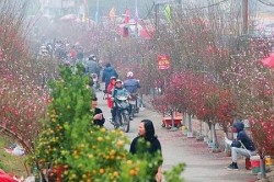 Dự báo thời tiết Tết Nguyên đán Quý Mão: Bắc Bộ trời trở rét, có khả năng xảy ra mưa tuyết và băng giá, Nam Bộ ít mưa, ngày nắng