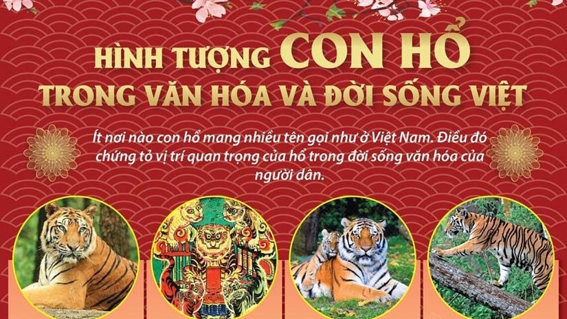 Hình tượng con hổ trong văn hóa và đời sống Việt