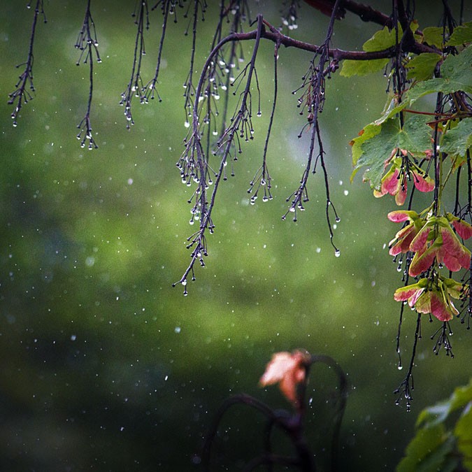 Dự báo thời tiết đêm nay và ngày mai (27-28/3): Bắc Bộ, Hà Nội nhiều mây, mưa nhỏ; Trung và Nam Bộ nắng nóng, mưa rào và dông vào chiều tối