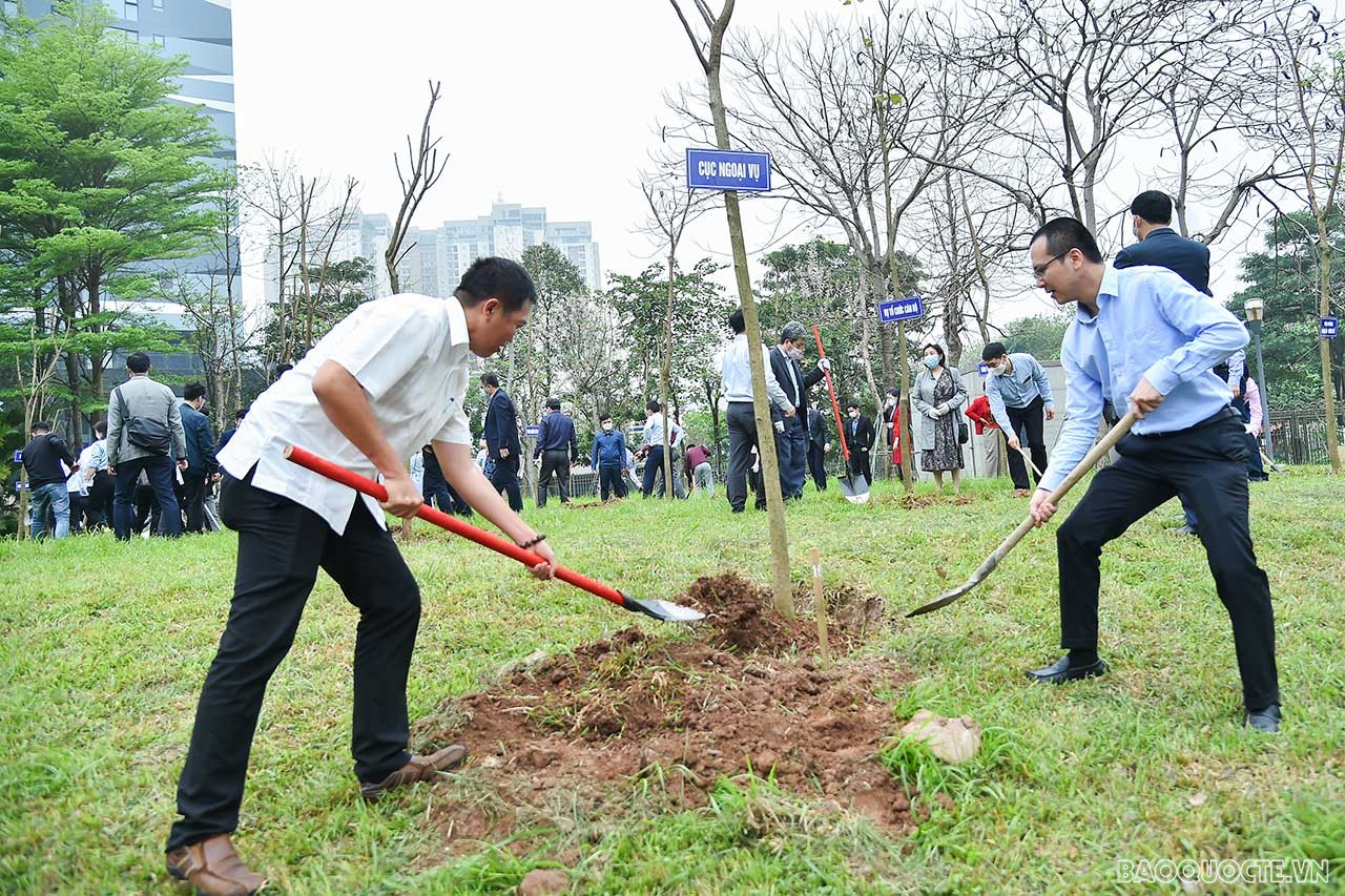 Là đơn vị vận động xanh về trồng tại Nhà làm việc mới của Bộ, ông Nguyễn Như Hiếu, Phó Cục trưởng phụ trách Cục Ngoại vụ nhấn mạnh, đây là cây hoa ban của được tỉnh Điện Biên trực tiếp chuyển về Hà Nội.