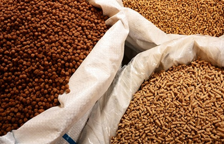 Không sử dụng kháng sinh trong thức ăn thủy sản