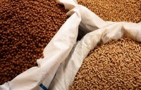 cac benh thong thuong co the tro thanh sat thu trong tuong lai