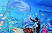 tin nhap 20190123085714