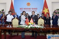 Đẩy mạnh trao đổi thương mại và đầu tư việt nam - morocco