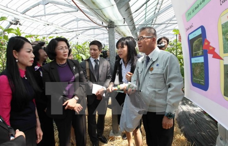 Quan hệ Việt-Nhật: Hứa hẹn mở ra những khả năng hợp tác tiềm năng