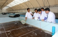 tin nhap 20170621233818