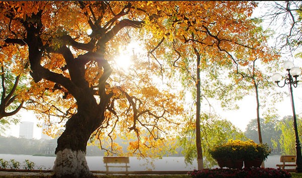 Dự báo thời tiết 10 ngày tới (đêm 1-11/5): Hôm nay cảnh báo mưa dông, mưa lớn; cả nước ngày nắng, mưa rào Dự báo thời tiết 10 ngày tới (đêm 1-11/5): Hôm nay cảnh báo mưa dông, mưa lớn; cả nước ngày nắng, mưa rào