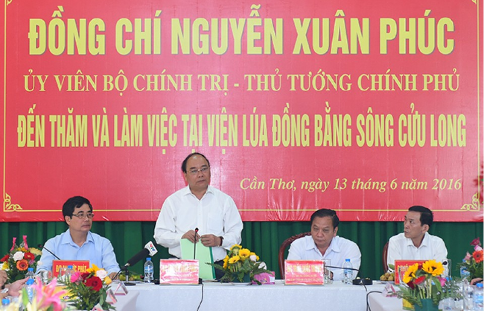 Ngành lúa gạo hướng vào sản xuất hàng hóa