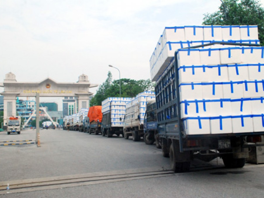 Kéo dài thông quan vải tươi tại Cửa khẩu quốc tế Kim Thành (Lào Cai)