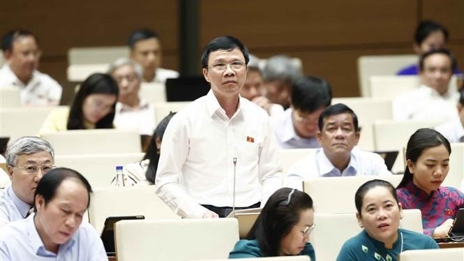 Làm thế nào để giải quyết vấn đề ‘được mùa, mất giá’, sản xuất nông nghiệp theo quy mô lớn?