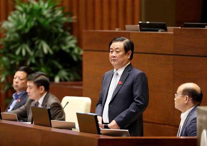 Bộ trưởng Nông nghiệp và Phát triển Nông thôn Lê Minh Hoan trả lời chất vấn các đại biểu Quốc hội chiều ngày 7/6.