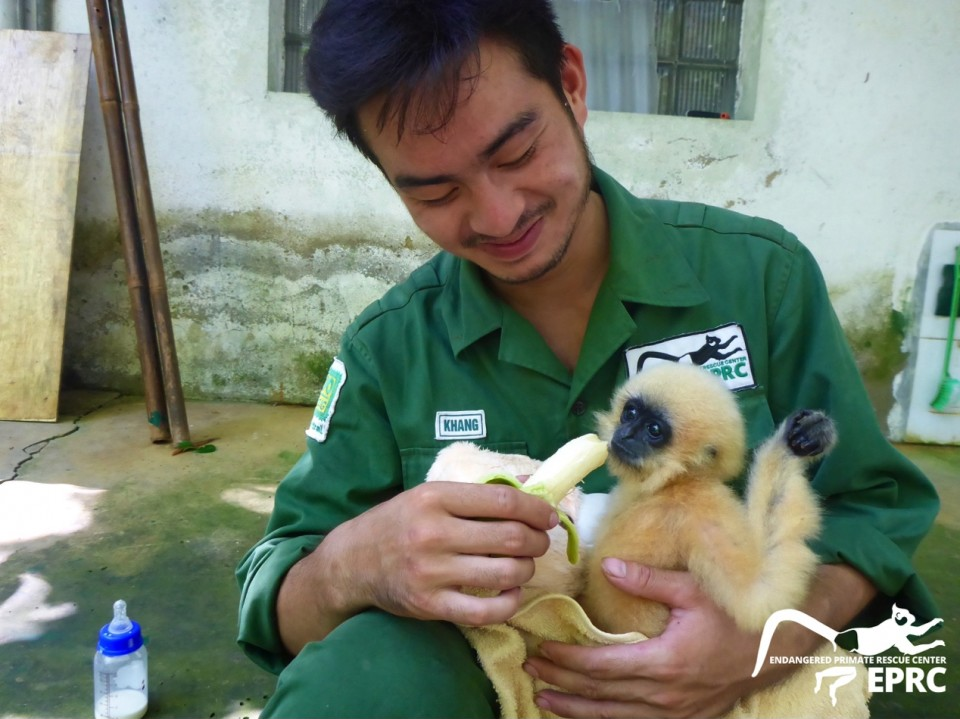 Cứu hộ thành công cá thể vượn nằm trong trong Sách Đỏ
