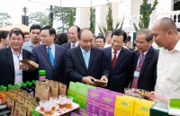 tin nhap 20190111145228