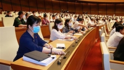 100% đại biểu Quốc hội biểu quyết đưa nội dung phòng, chống Covid-19 vào chương trình kỳ họp