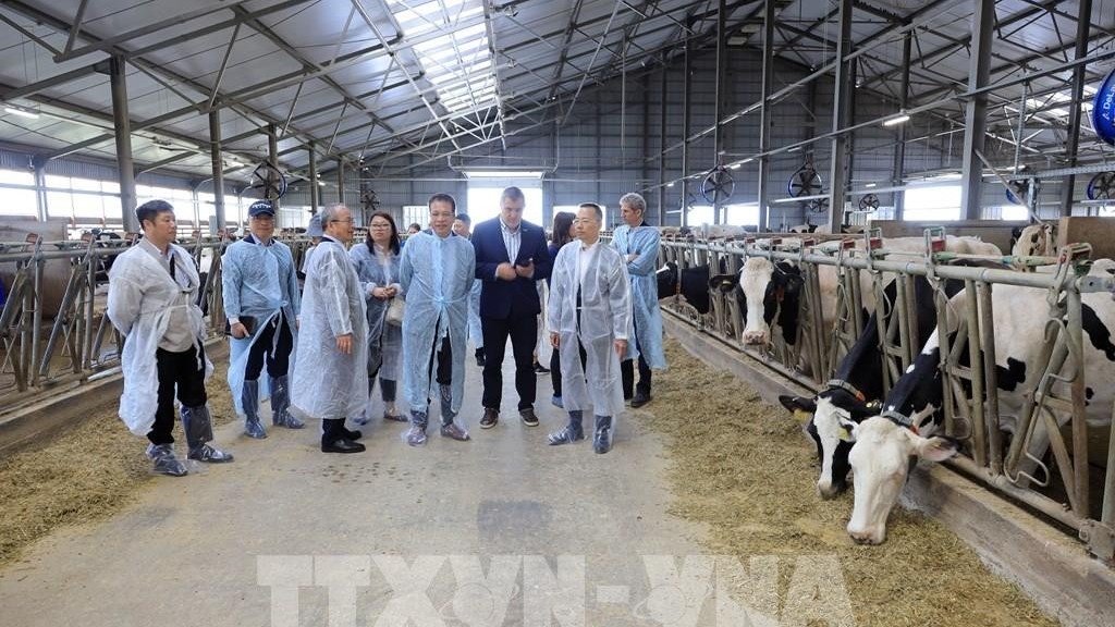 Đại sứ Việt Nam tại Nga Đặng Minh Khôi thăm làm việc tại thăm Tổ hợp trang trại TH Volokolamsk (TH RUS)