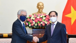 Việt Nam mong muốn Liên hợp quốc tiếp tục cung cấp vaccine Covid-19 thông qua cơ chế COVAX