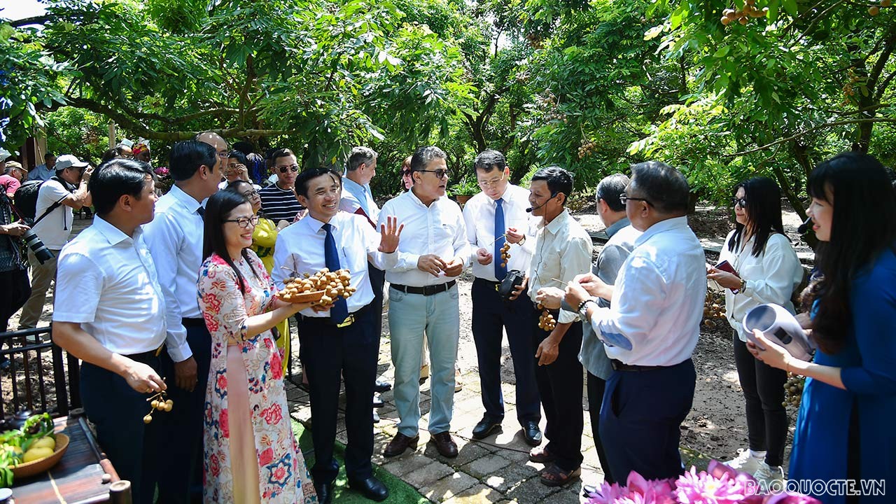 Toàn cảnh Ngoại giao đoàn về thăm, kết nối và giao lưu tại quê hương nhãn lồng Hưng Yên qua ảnh