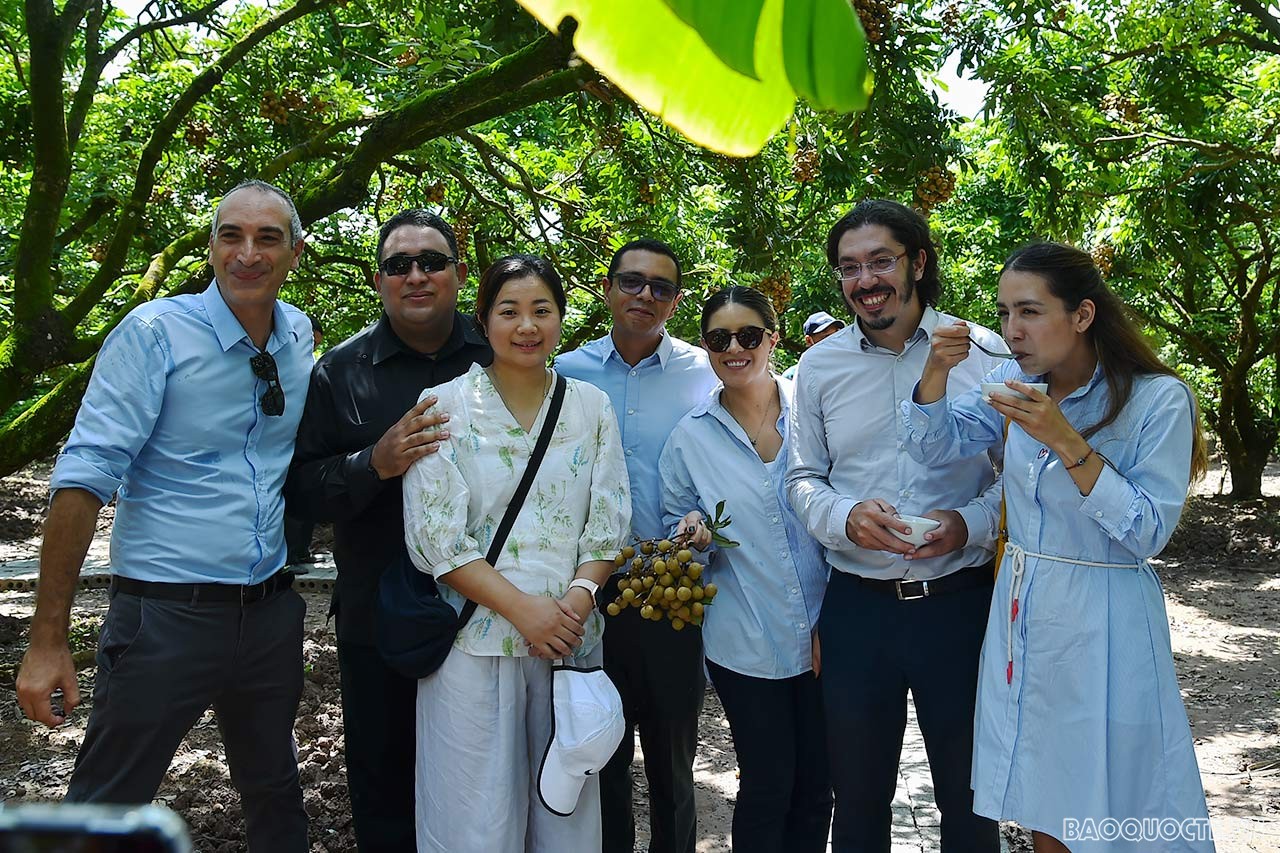 Toàn cảnh Ngoại giao đoàn về thăm, kết nối và giao lưu tại quê hương nhãn lồng Hưng Yên qua ảnh