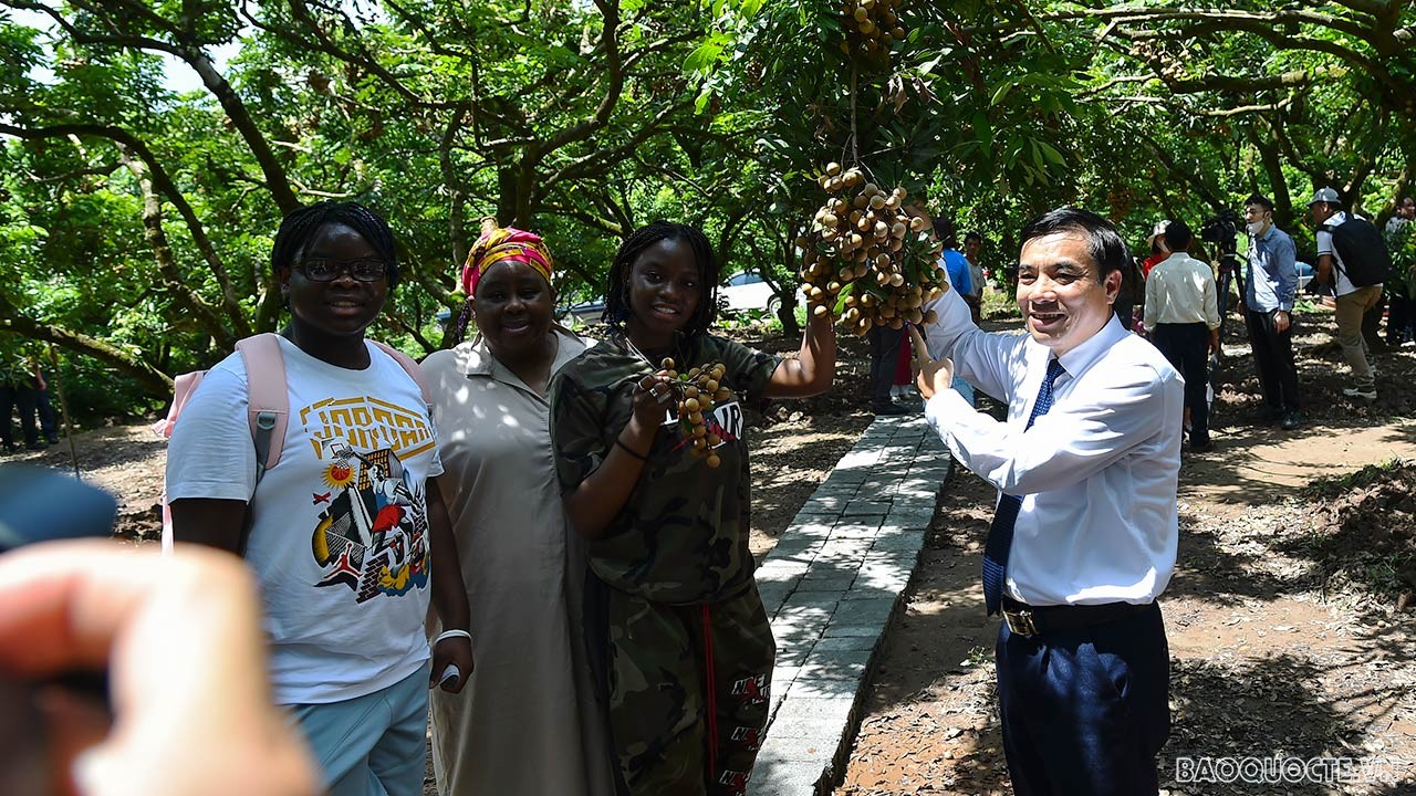 Toàn cảnh Ngoại giao đoàn về thăm, kết nối và giao lưu tại quê hương nhãn lồng Hưng Yên qua ảnh